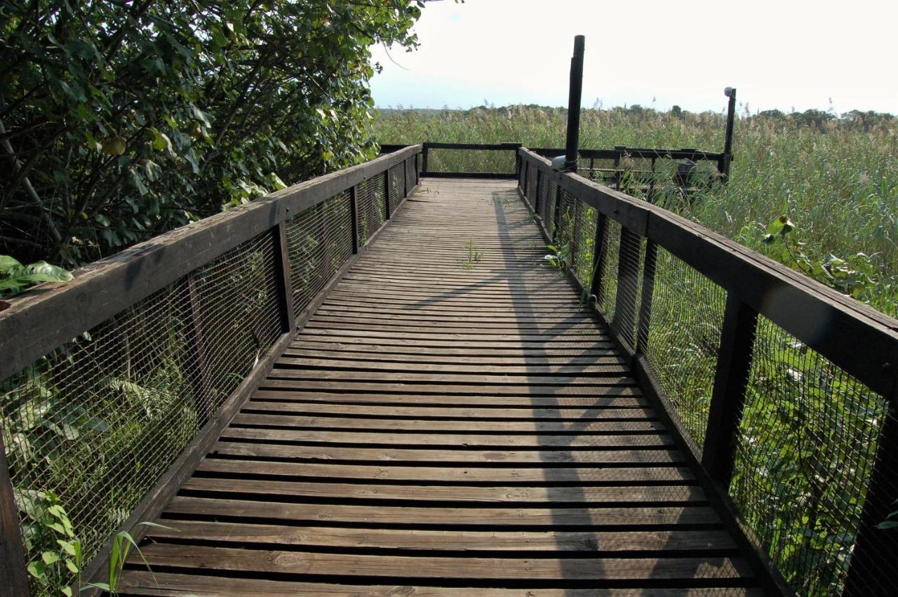 Saint Lucia Estuary28 And 29 The Bridgeアパートメント エクステリア 写真