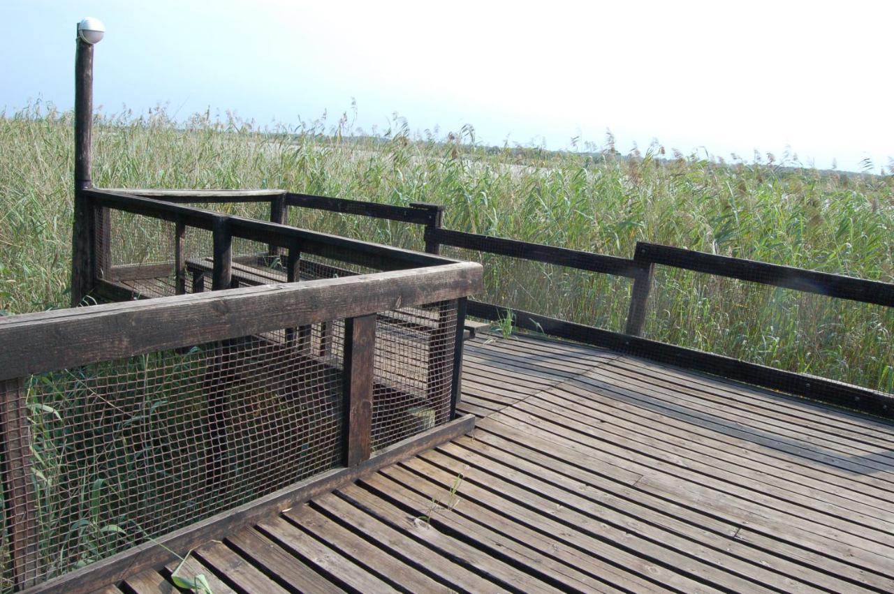 Saint Lucia Estuary28 And 29 The Bridgeアパートメント エクステリア 写真