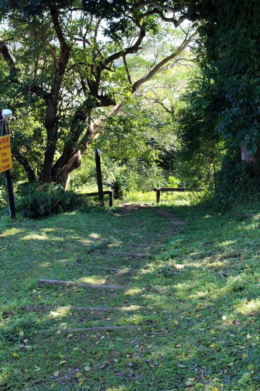 Saint Lucia Estuary28 And 29 The Bridgeアパートメント エクステリア 写真
